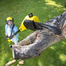 Best Lawn Pest Prevention  in Shell Point, SC